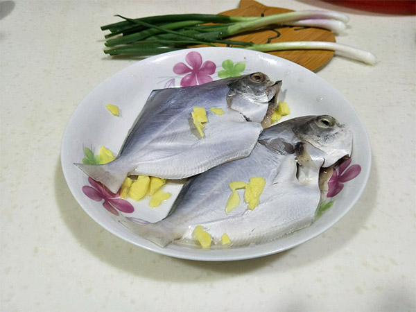 白枪鱼